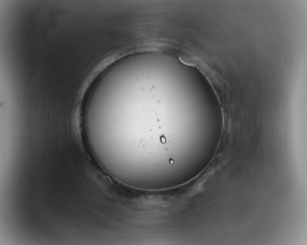 X0000091660244200709201149