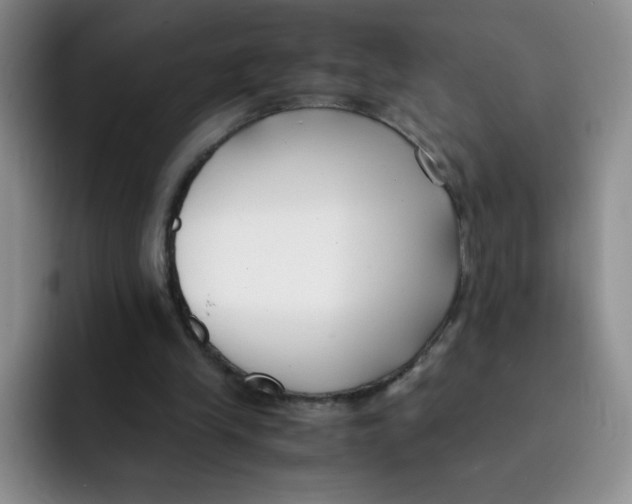X0000091660245200709201149