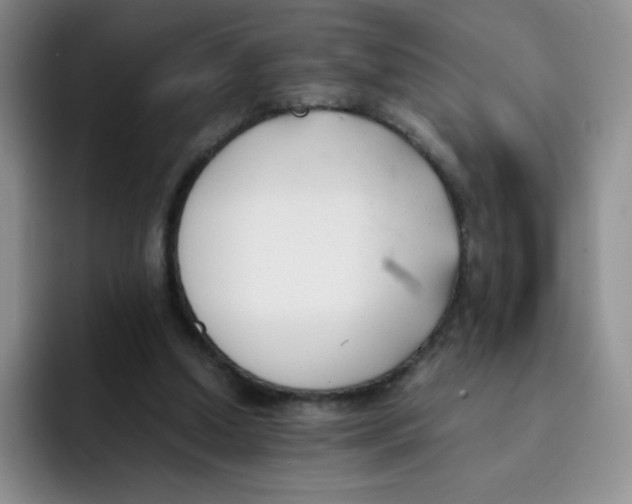 X0000091660250200709201149
