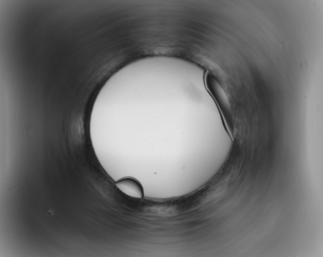 X0000091660251200709201149
