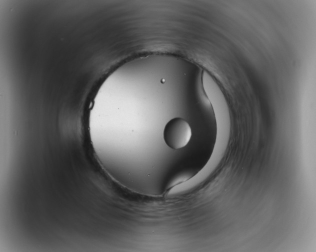 X0000091660252200709201149