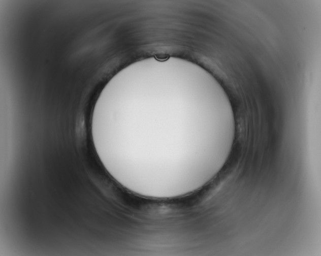 X0000091660254200709201149