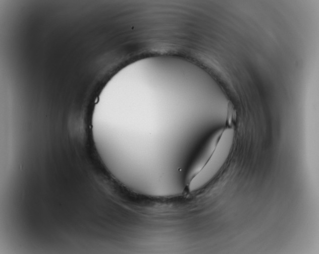 X0000091660256200709201149