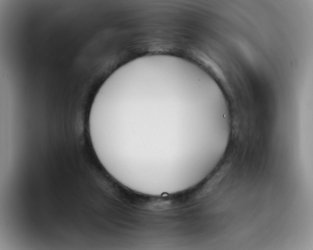 X0000091660257200709201149