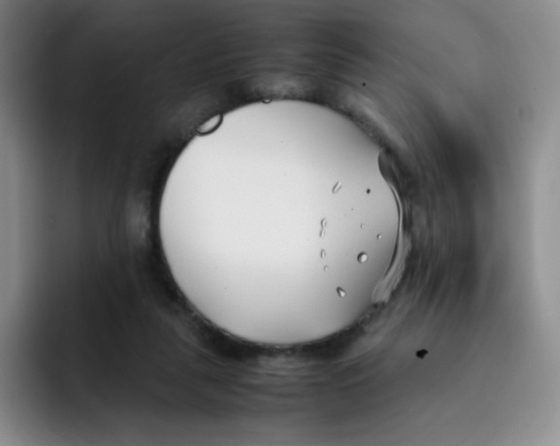 X0000091660259200709201150