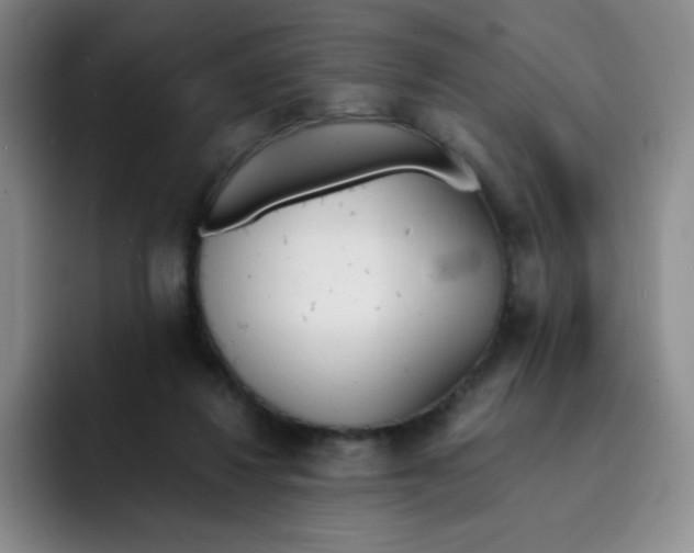 X0000091660260200709201150