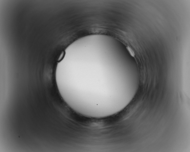 X0000091660263200709201150