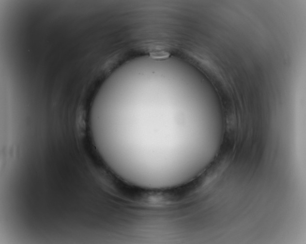 X0000091660264200709201150