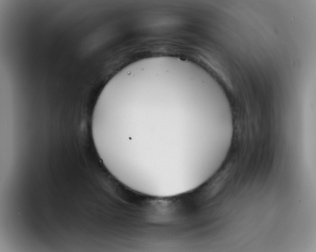 X0000091660265200709201150