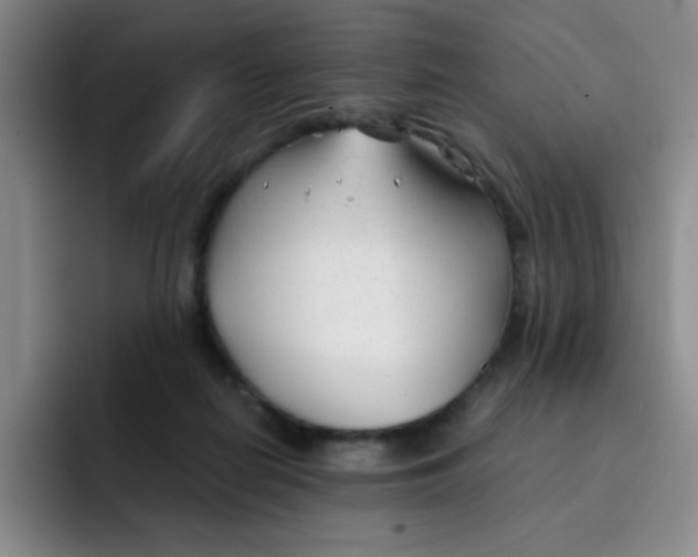 X0000091660266200709201150