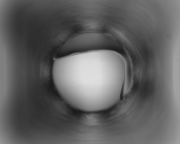 X0000091660268200709201150
