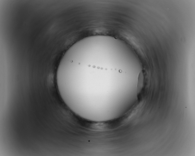 X0000091660269200709201150
