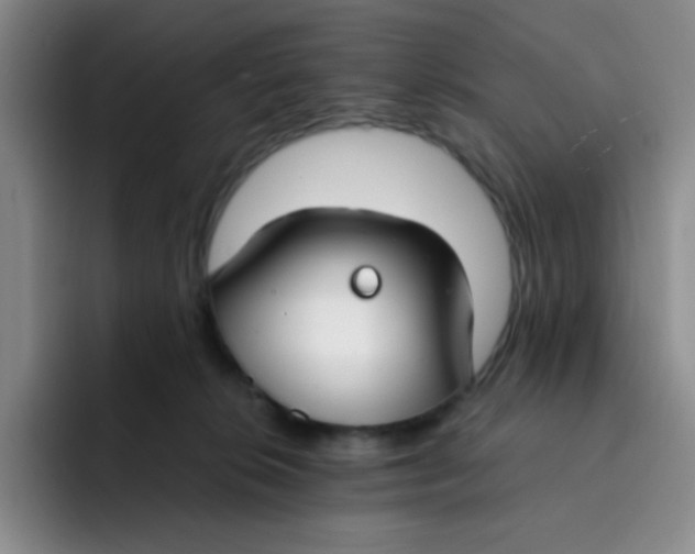 X0000091660276200709201150