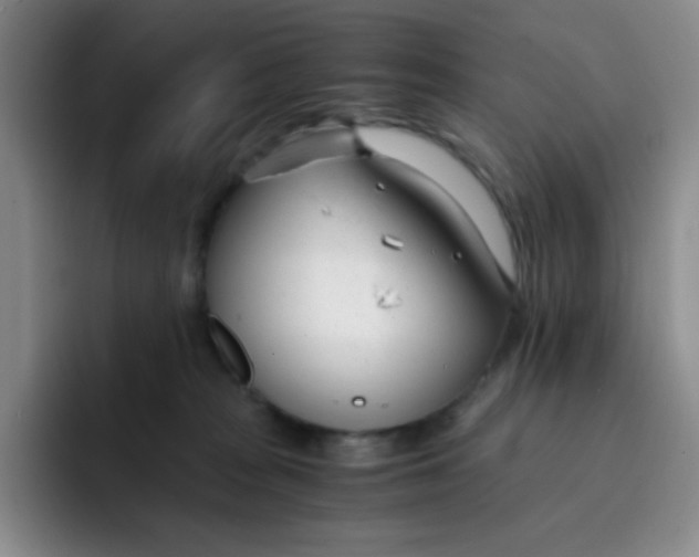 X0000091660277200709201150