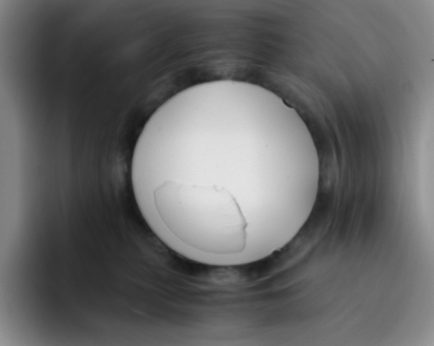 X0000091660279200709201150