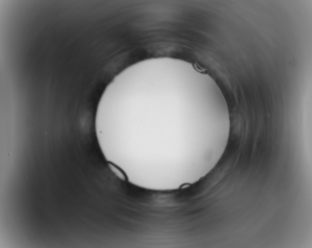 X0000091660283200709201150