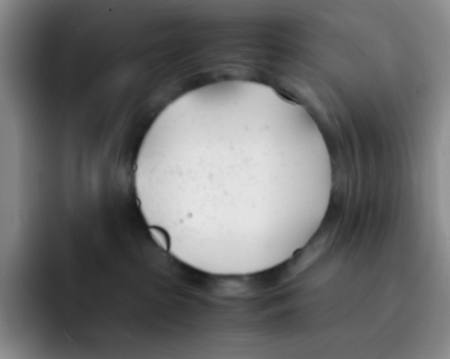 X0000091660285200709201150