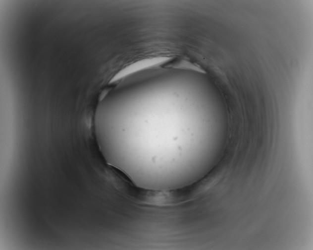 X0000091660288200709201150