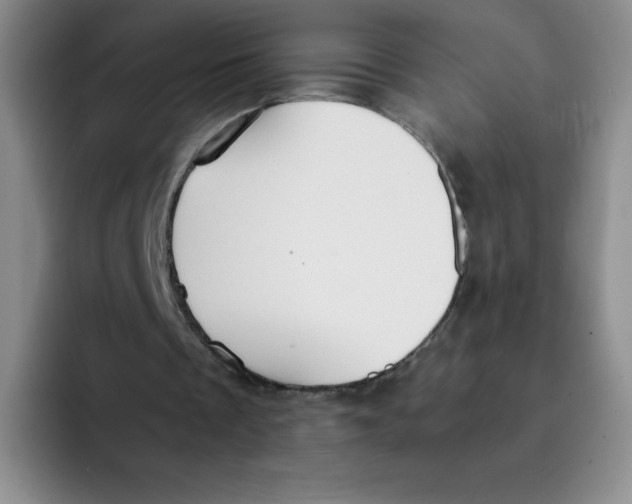 X0000091660289200709201149