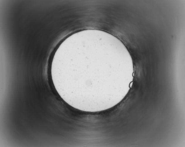 X0000091660292200709201149