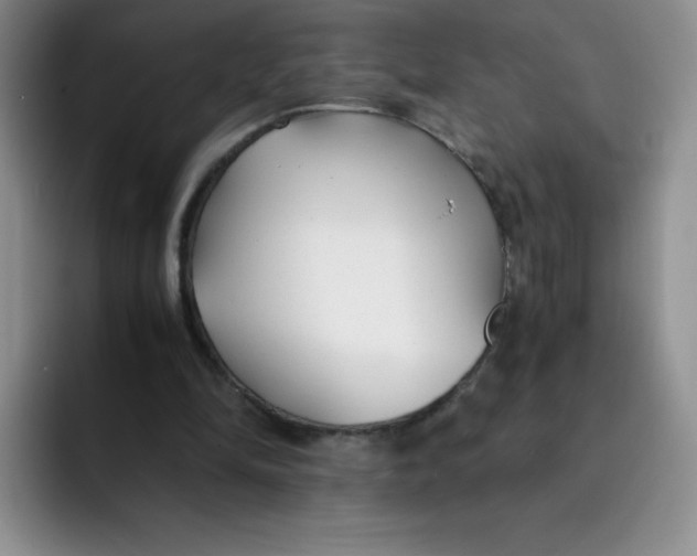 X0000091660294200709201149