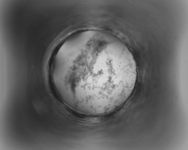 X0000091660295200709201149
