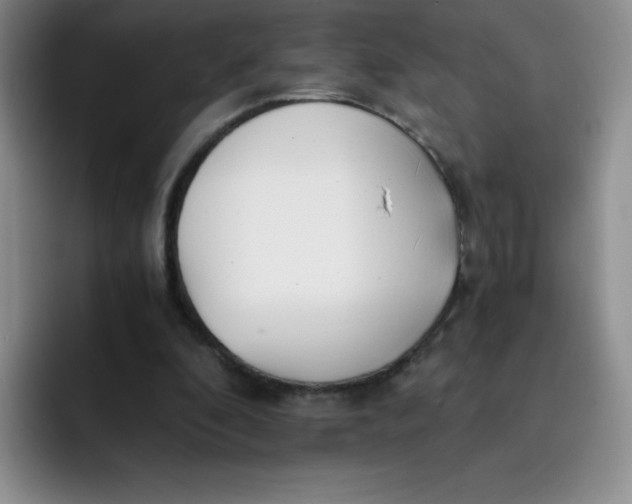 X0000091660296200709201149