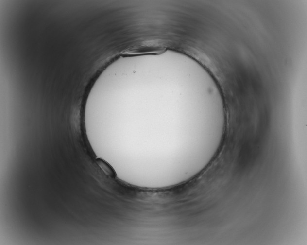 X0000091660297200709201149