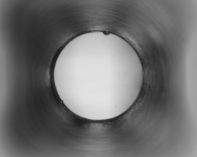 X0000091660298200709201149