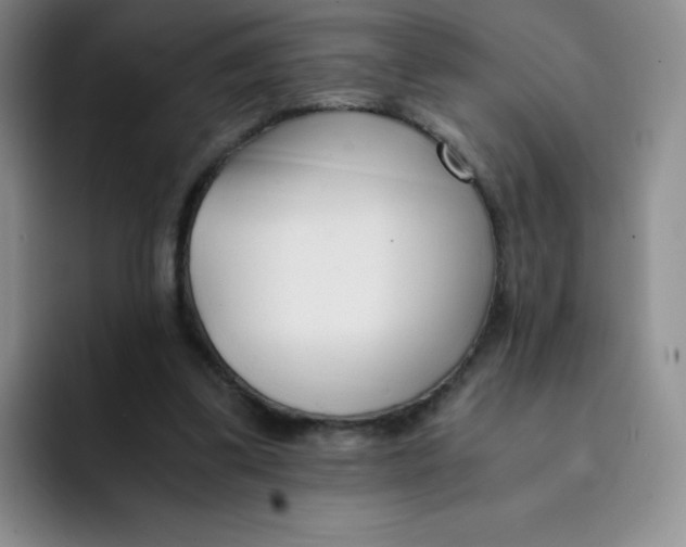 X0000091660299200709201149