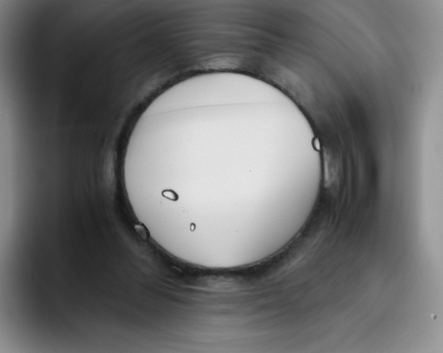 X0000091660300200709201149