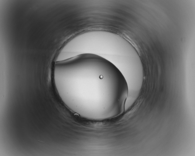 X0000091660301200709201149
