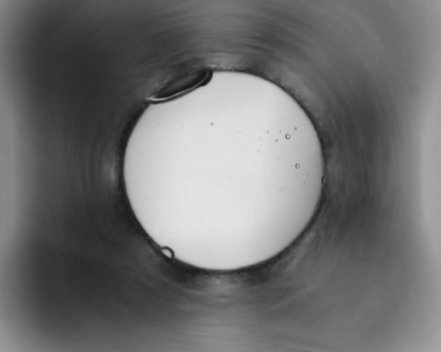 X0000091660305200709201149