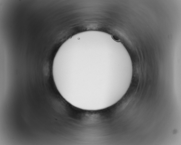 X0000091660311200709201149