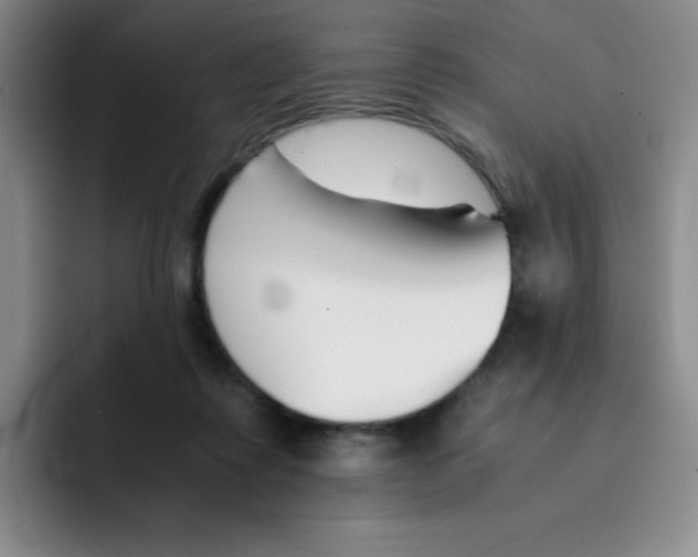 X0000091660315200709201149