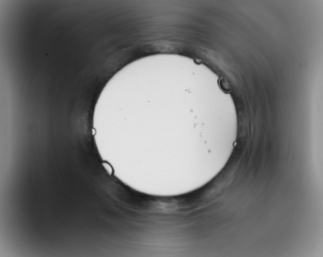 X0000091660317200709201149