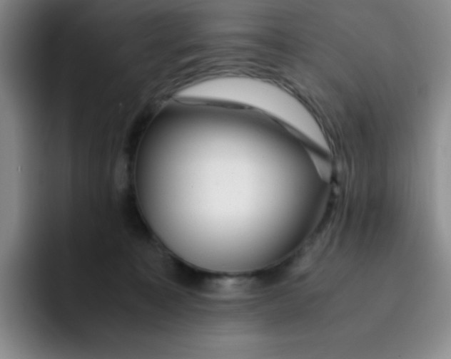 X0000091660323200709201149