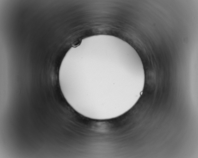 X0000091660324200709201149