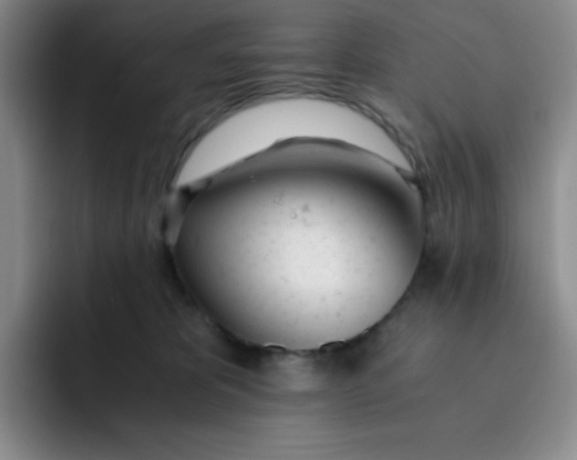 X0000091660325200709201149