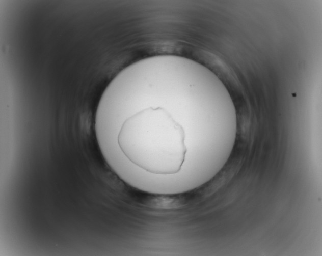 X0000091660326200709201149