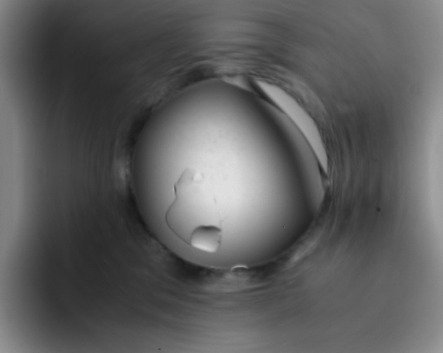 X0000091660329200709201149