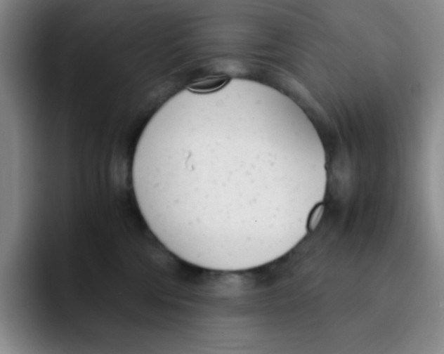X0000091660330200709201149