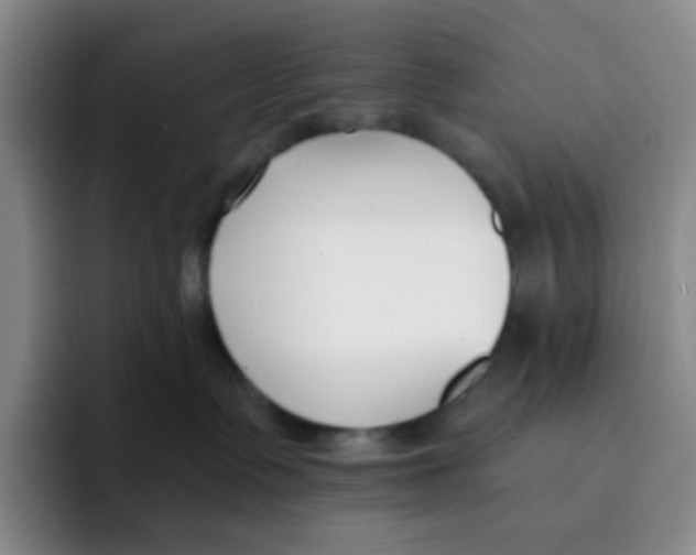 X0000091660335200709201149