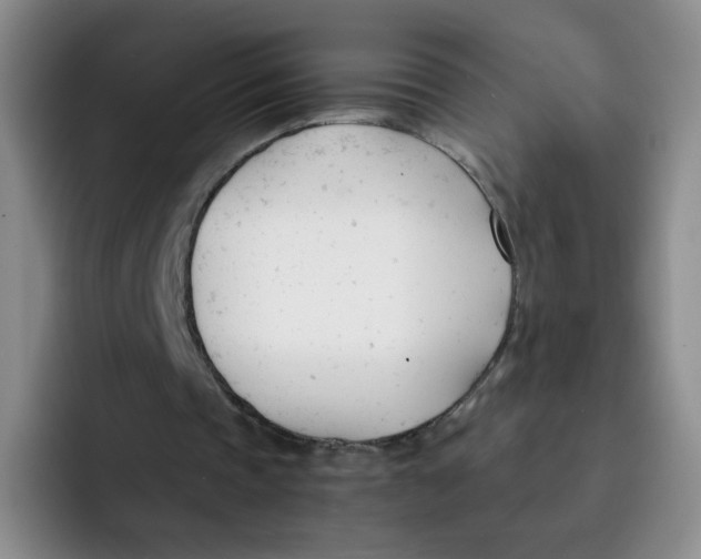 X0000091660337200709201148