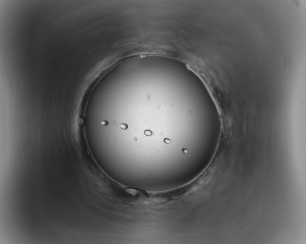 X0000091660340200709201148