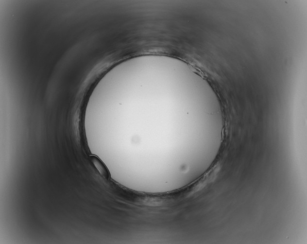 X0000091660341200709201148