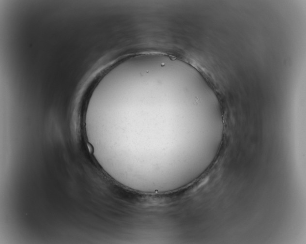 X0000091660343200709201148
