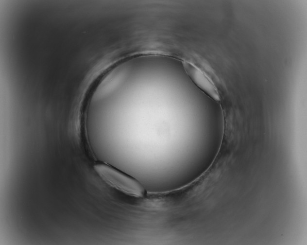 X0000091660344200709201148