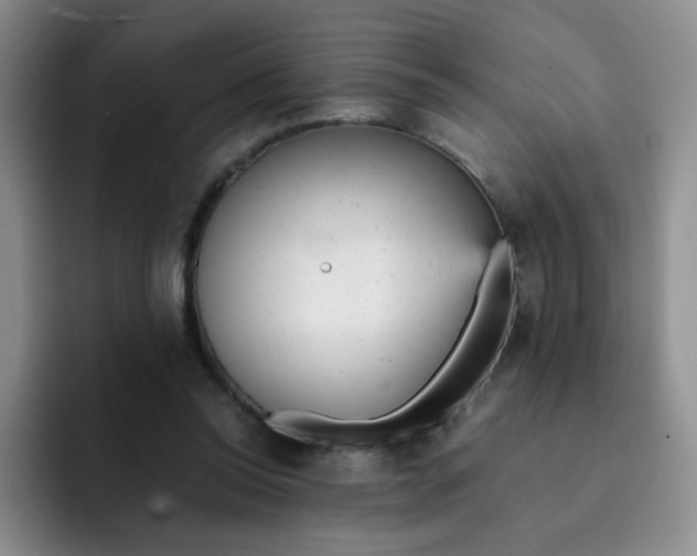 X0000091660350200709201148