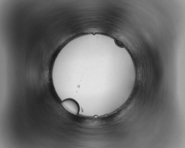 X0000091660351200709201148